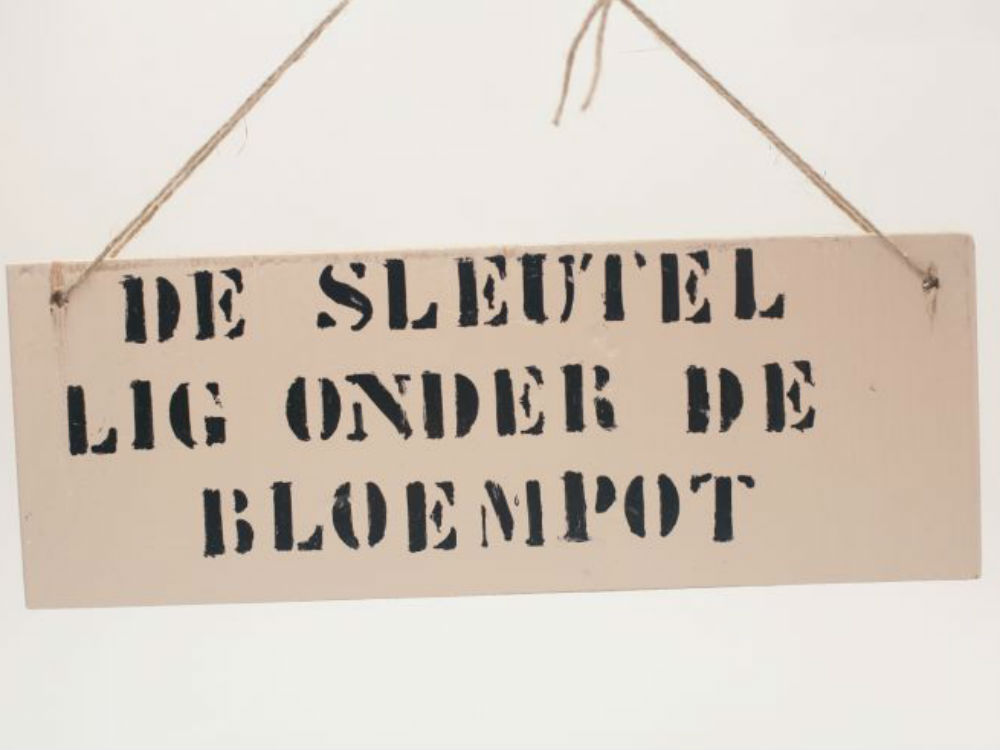 Sleutel onder de bloempot