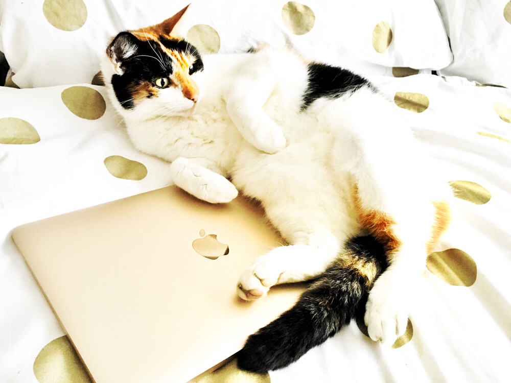 MacBook Gold review - OHIMP