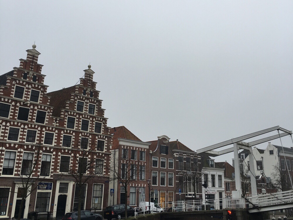 Het Spaarne in Haarlem - OHIMP