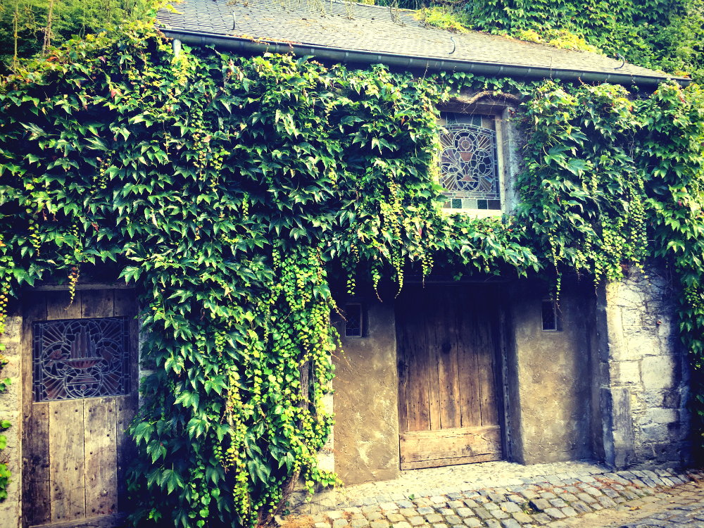 begroeid-huisje-in-durbuy-in-de-ardennen