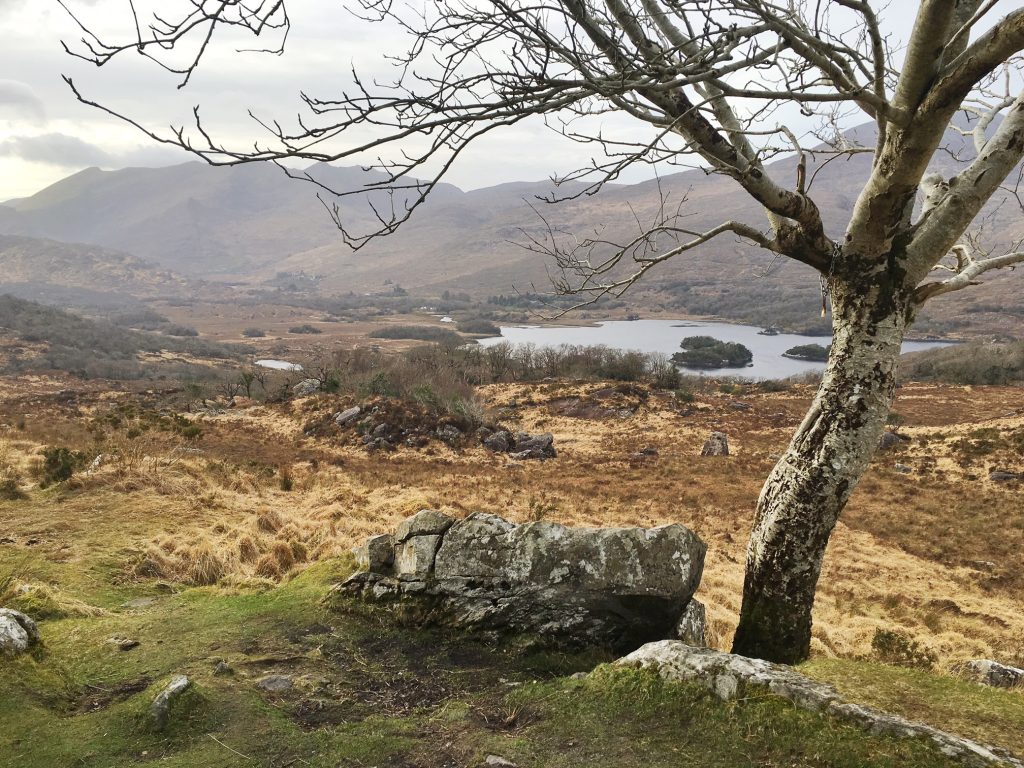 ladies view