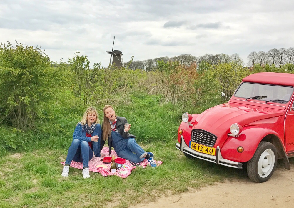 Achterhoek eend huren