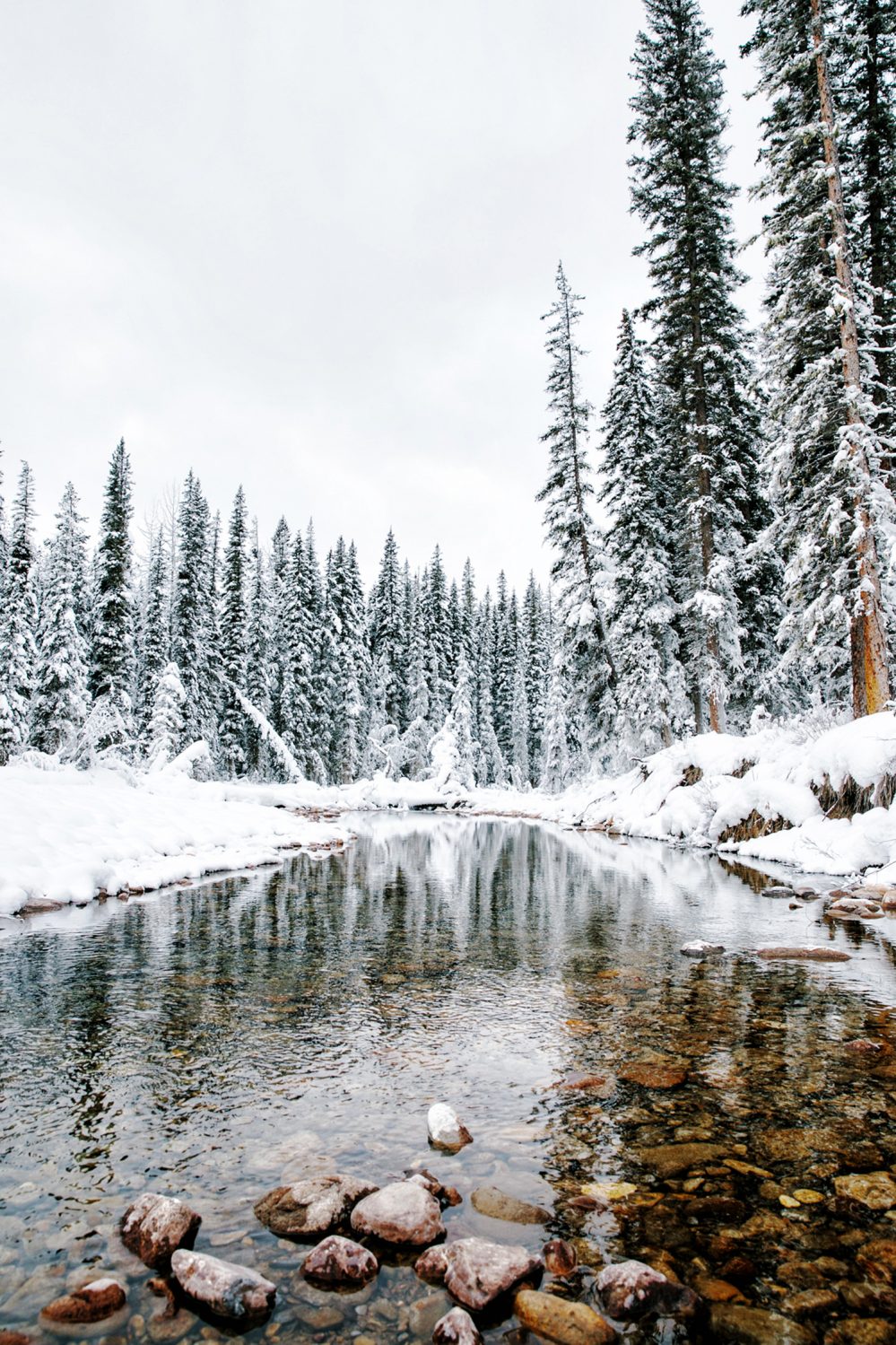 Wintersportreis Canada