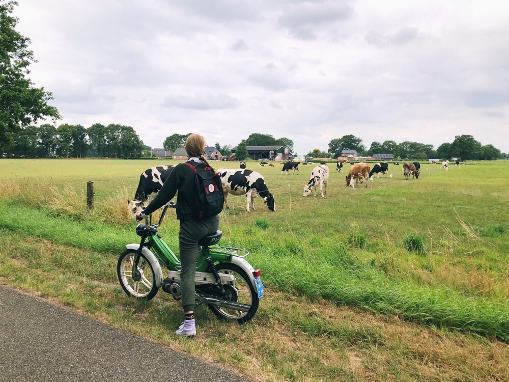 Vechtdal tour