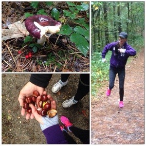 Middenduin collage