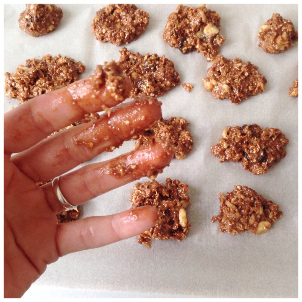 oat meal cookies chocolate