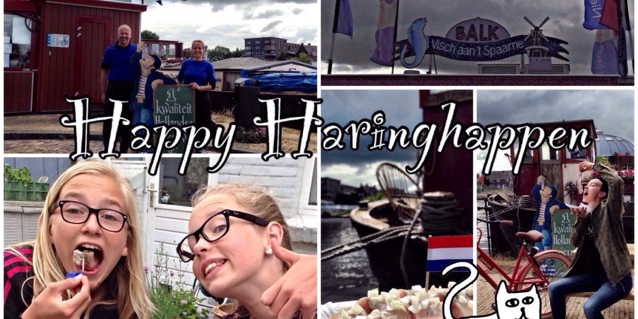 Hotspot Haarlem: Balk Visch aan ’t Spaarne