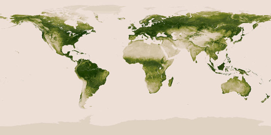 wereldkaart: vegetatie
