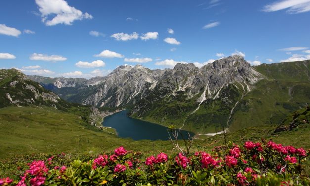 Vakantietip: beleef de zomer in Oostenrijk