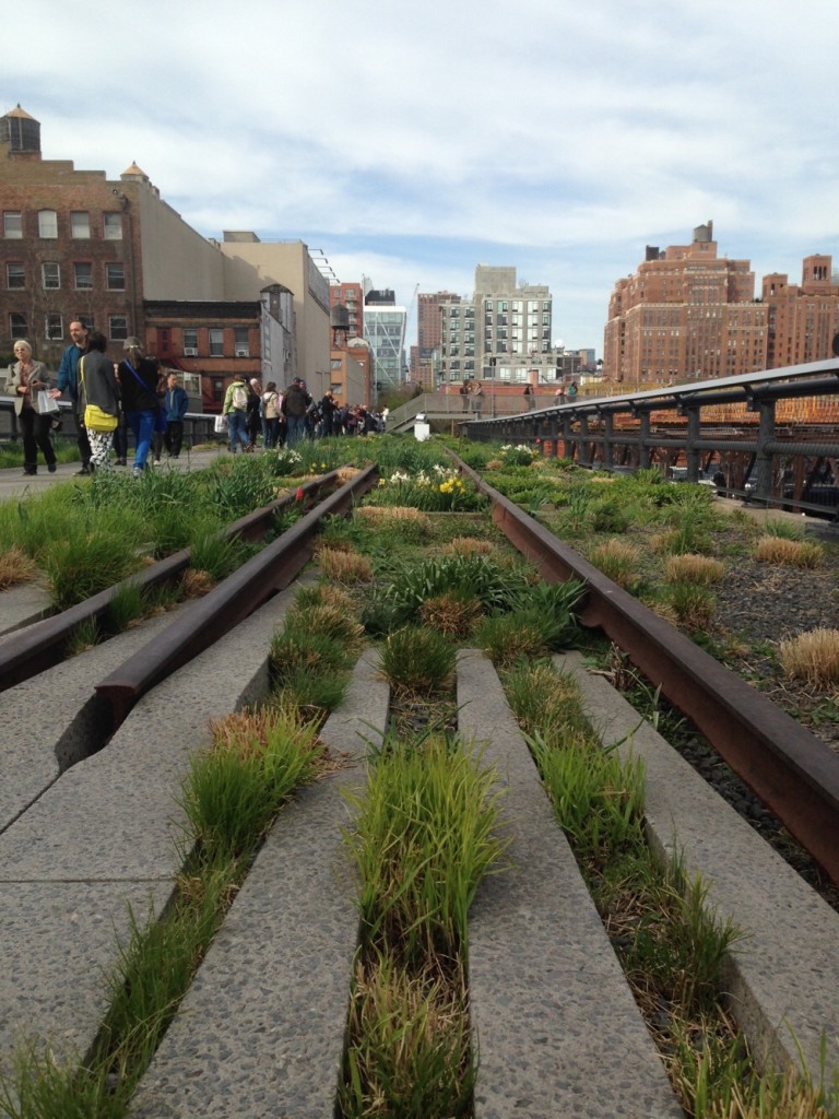 High Line - OHIMP