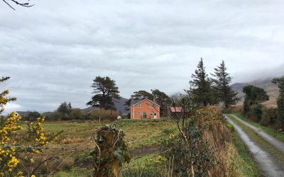Mooie fiets- en wandelroutes in Ierland