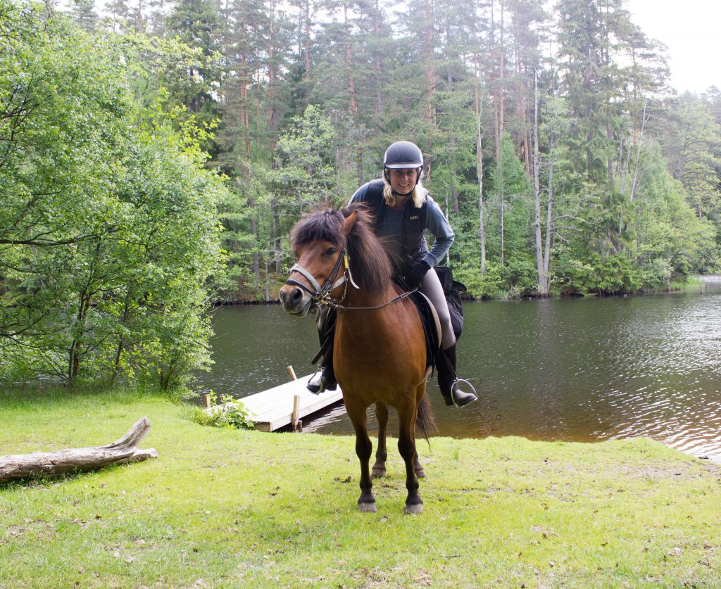 paardrijden zweden