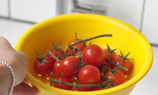 Verwarmde tomaten of rauwe tomaten, wat is gezonder?