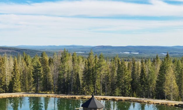 5 reis tips voor Zweeds Lapland (voorjaar/zomer)