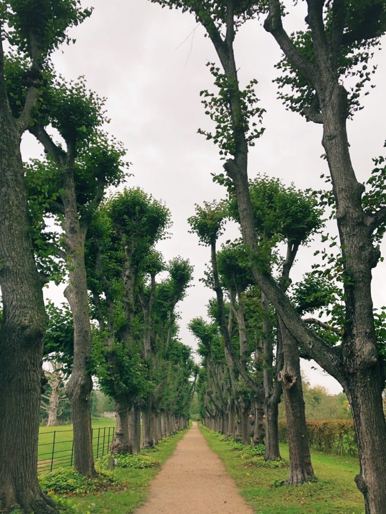 Elswoutlaan