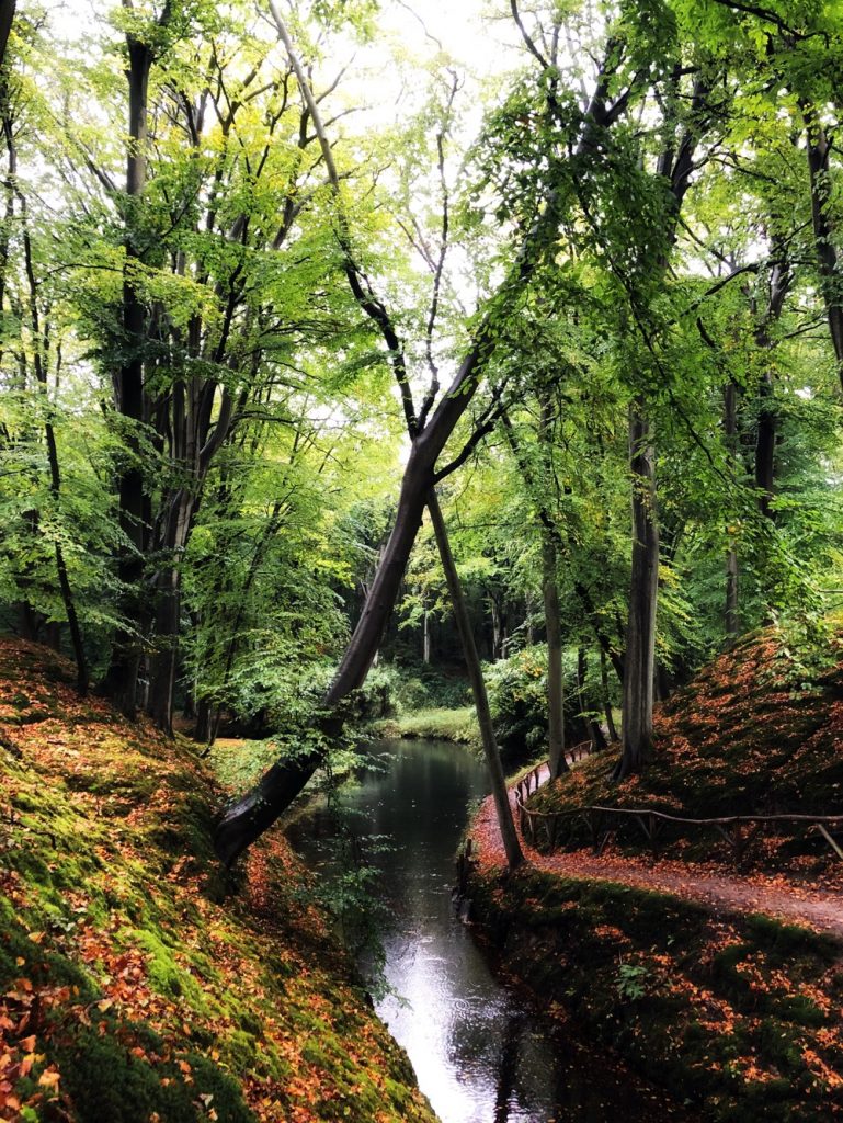 Elswout wandeling
