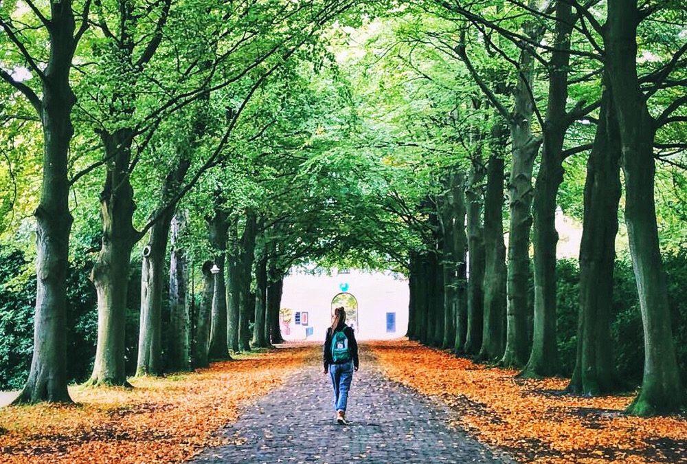 10 tips tegen de winterblues (en herfstdip)