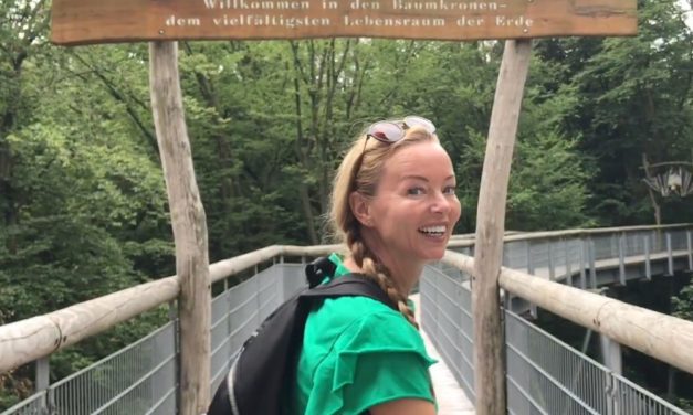 Hartje Duitsland tip: het boomtoppenpad in Natuurpark Hainich