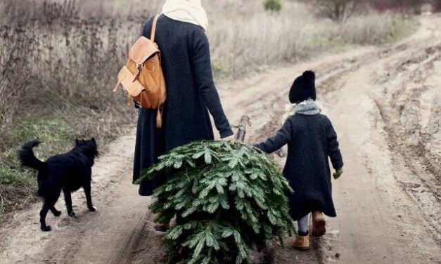 Waar komt de kerstbomen traditie + versiering vandaan?