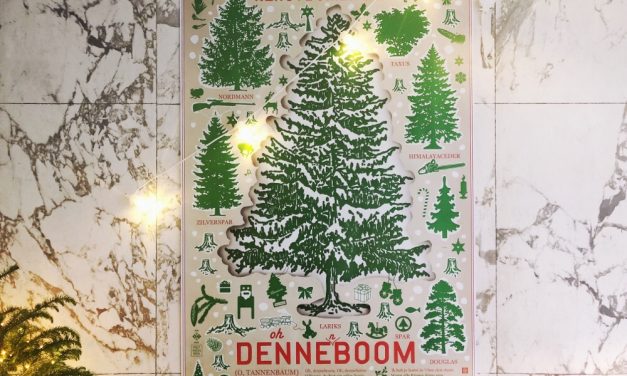 Kerstidee: kerstboom poster van Piet Hein Eek + studio Boot