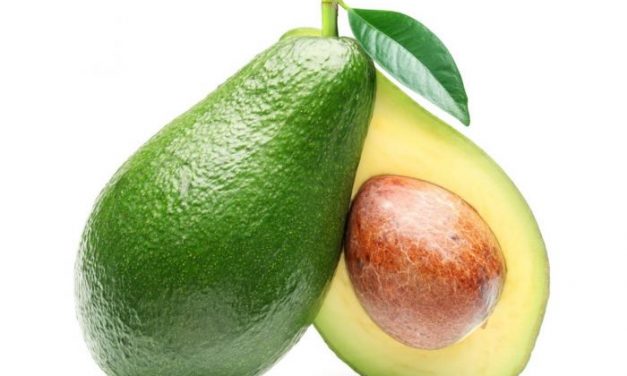 Afvallen met avocado? Dit en meer weetjes