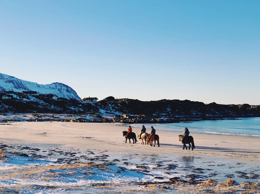 paardrijden op de Lofoten eilanden