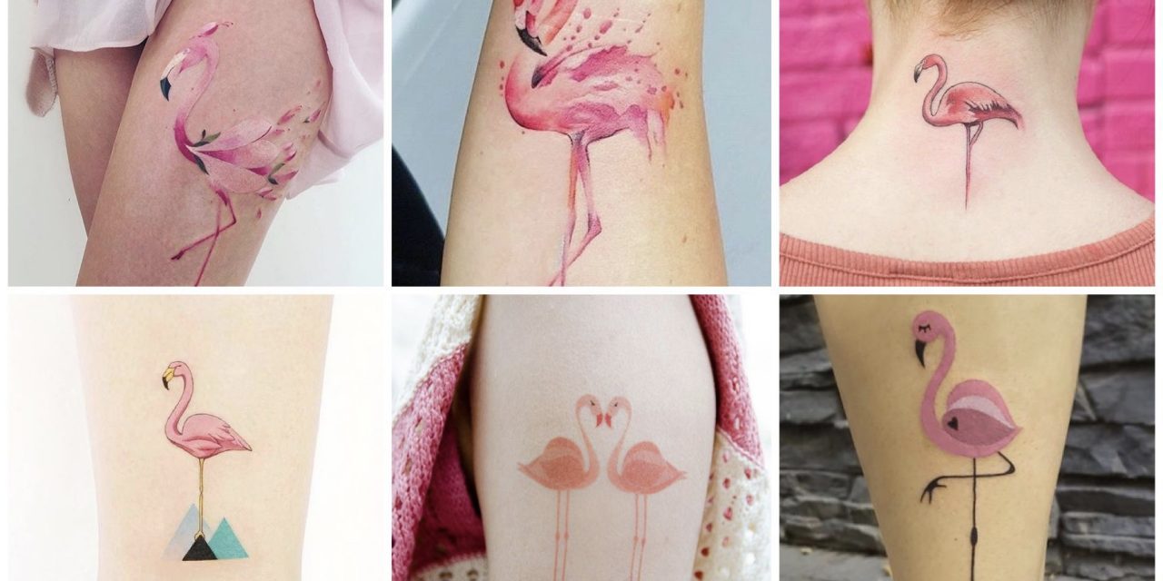 30+ geweldige flamingo tattoos (en de betekenis)