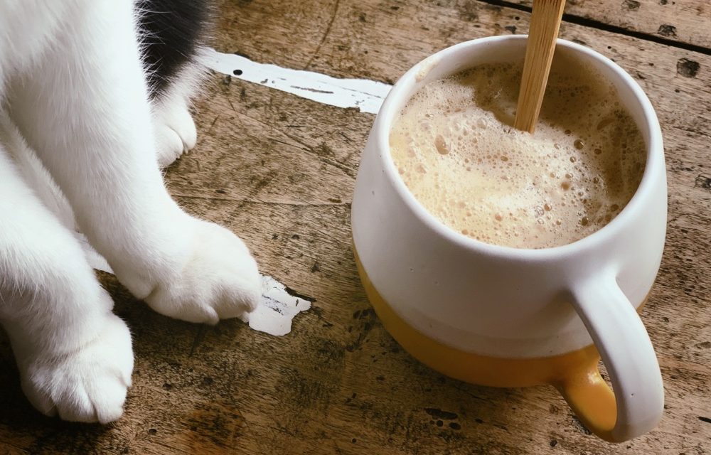 Kickstart van je dag: Maca latte met cacao