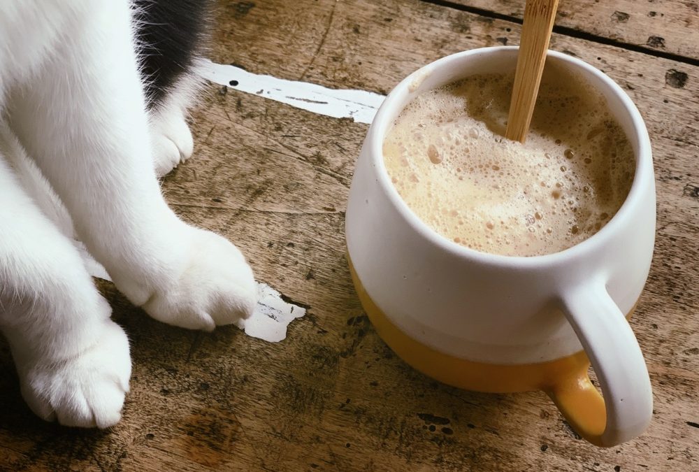 Kickstart van je dag: Maca latte met cacao