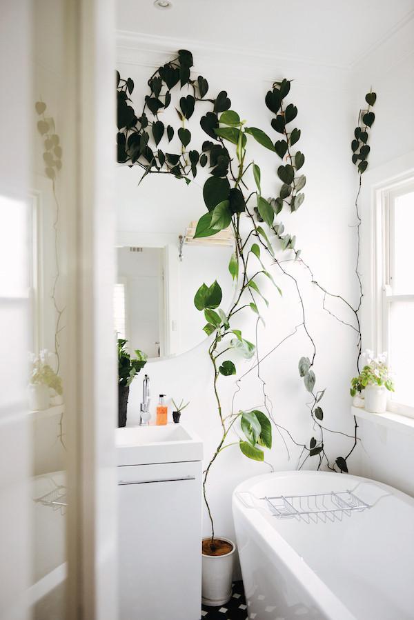 planten in de badkamer