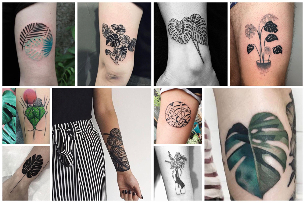 33x inspiratie voor een Monstera tattoo