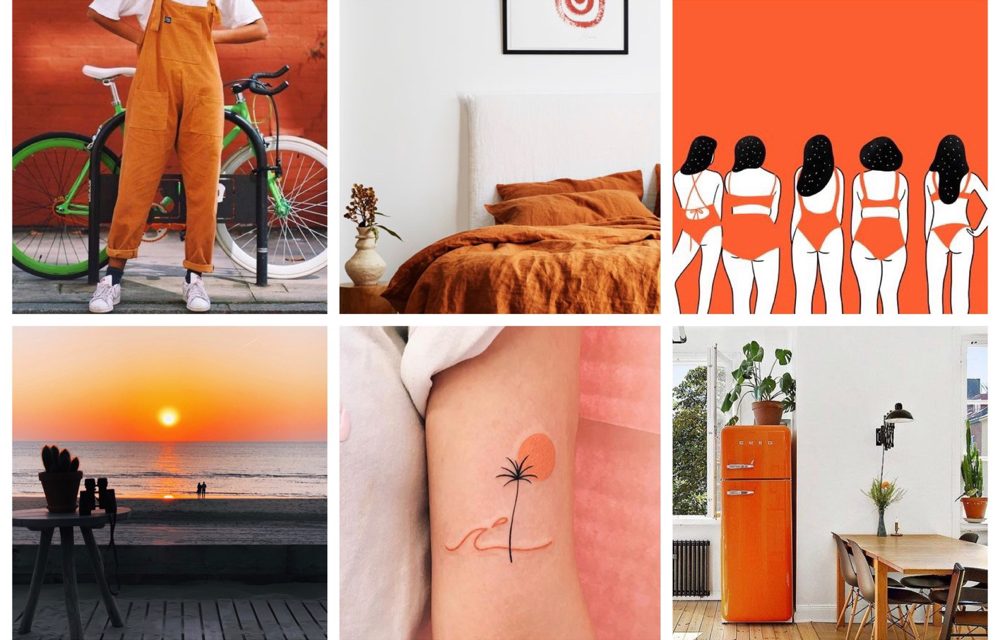 Weekend finds 16: trendy oranje kleuren palet