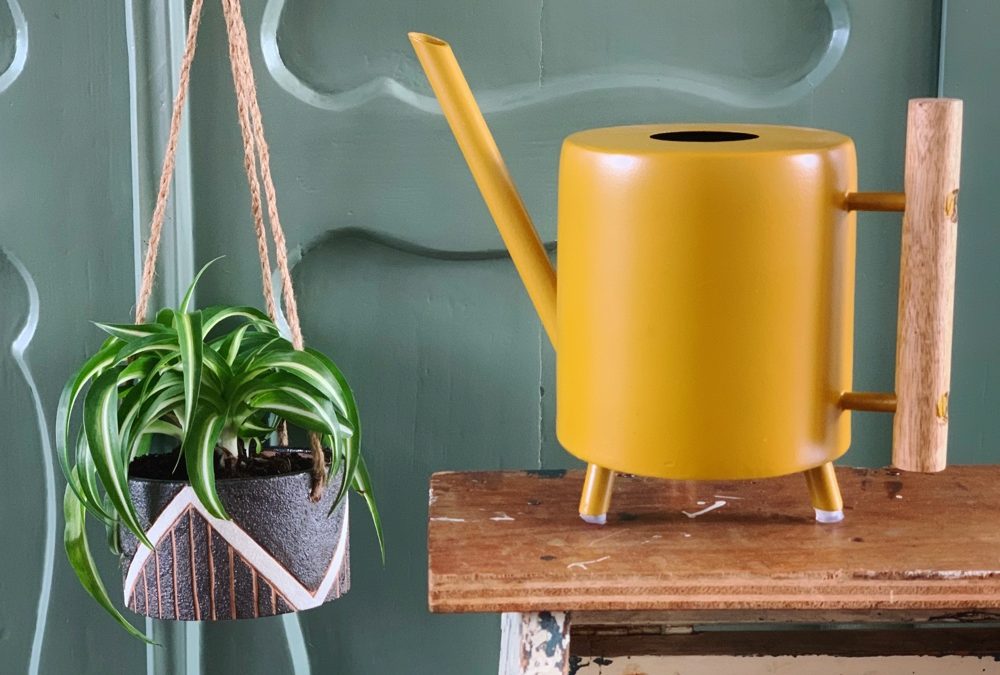 Weekend Finds | week 14: nieuw “Bonnie” plantje en gekke jurken