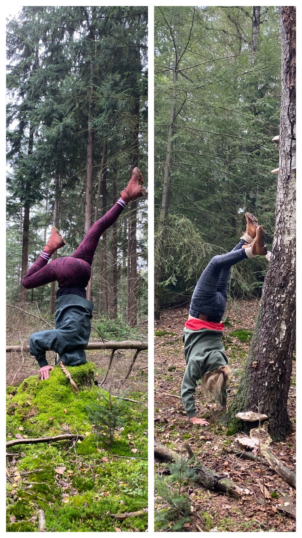 yoga in het bos