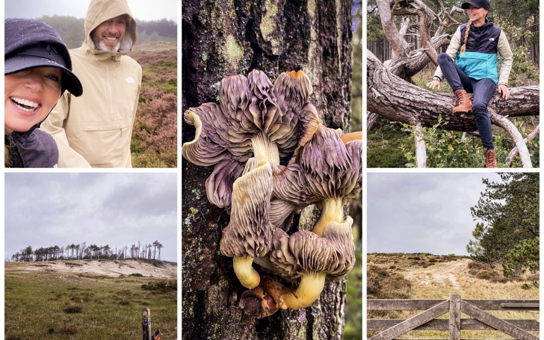 Wandeltips | de Schoorlse Duinen