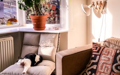Waarom een schaarlamp niet in je interieur mag ontbreken