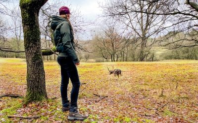 Waarom wandelen gezond is? 10 redenen