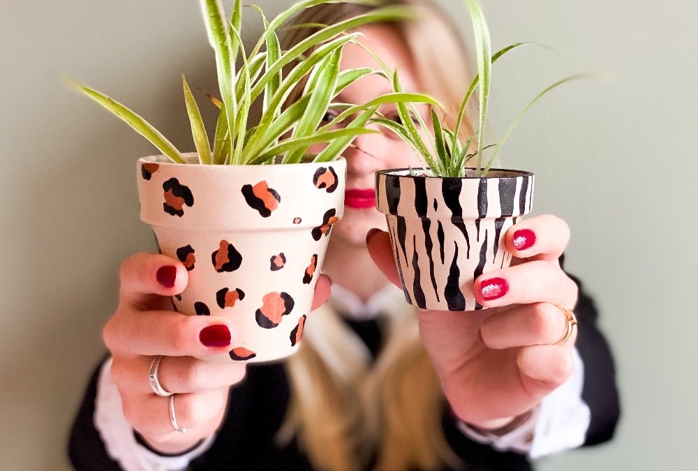 DIY | terracotta potjes dierenprint