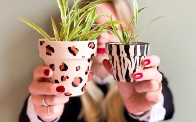 DIY | terracotta potjes dierenprint