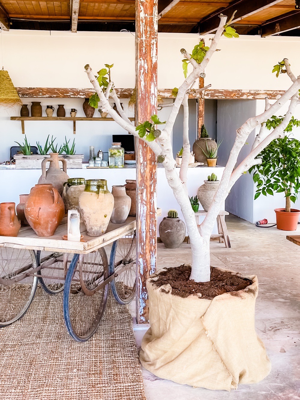 Kayuca beach house