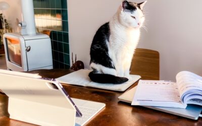 Ik ga op reis en neem mee | de nieuwe iPad