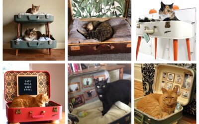 DIY: 5x creatief met een oude koffer