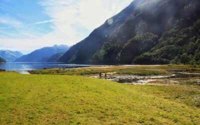Vier de lente in Fjord Noorwegen
