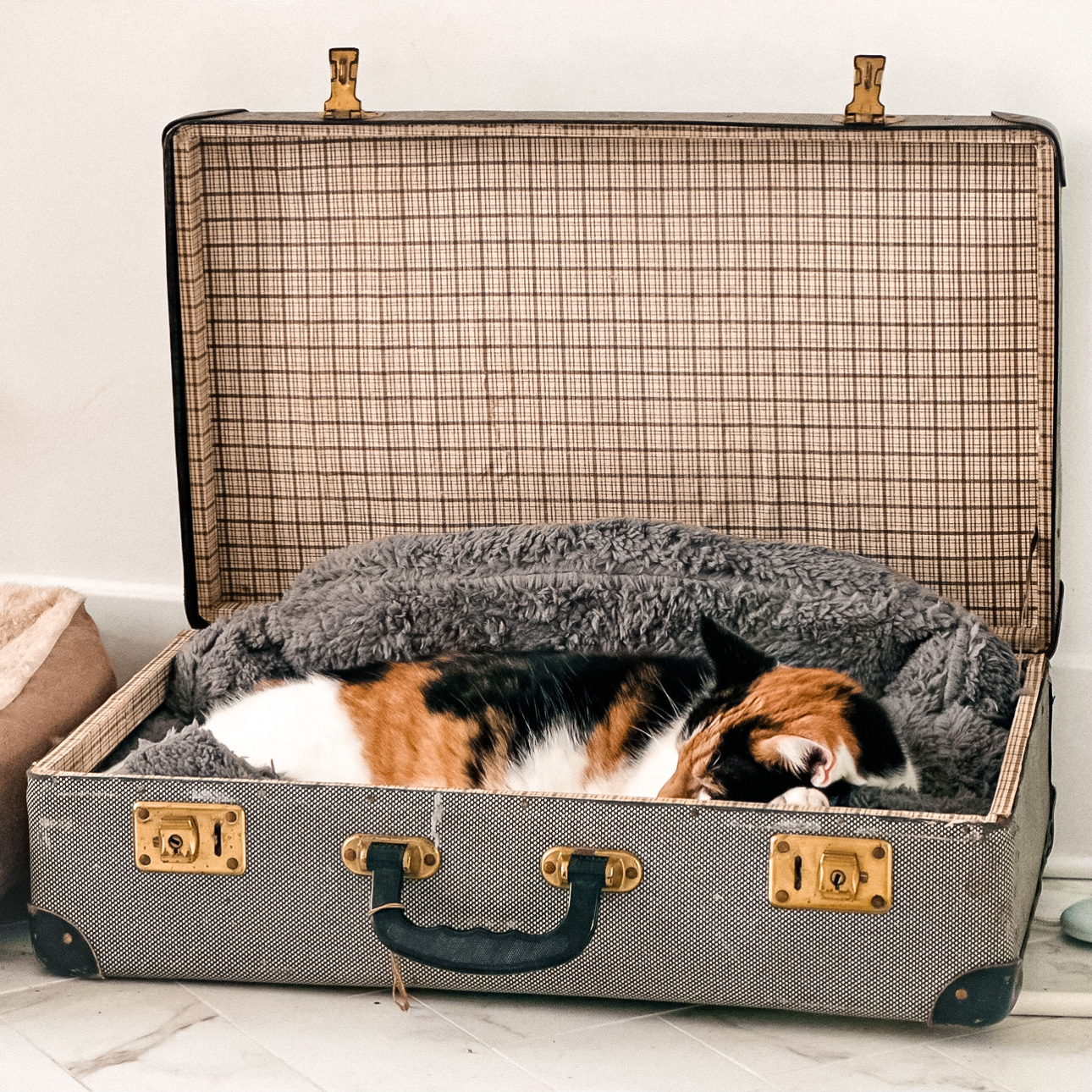 kattenhuisje koffer