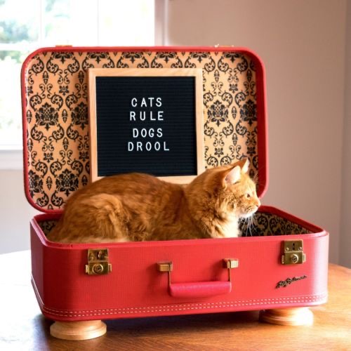 kattenhuisje koffer
