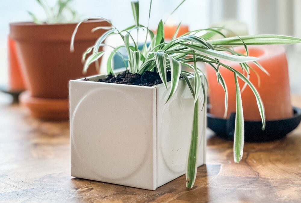 Plantenpot van tegels | zo maak je ‘em