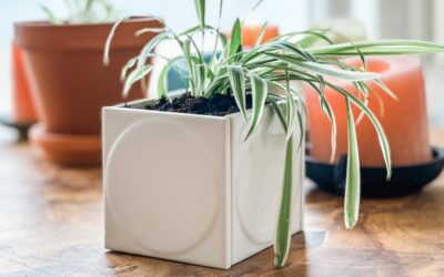 Plantenpot van tegels | zo maak je ‘em