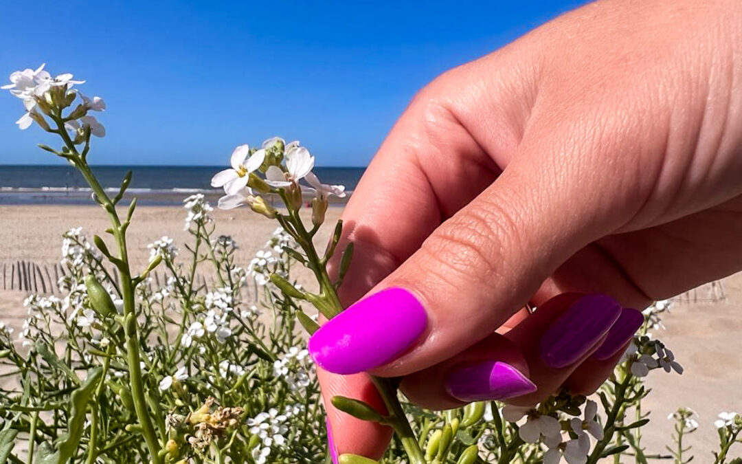 De beste tips voor lange nagels