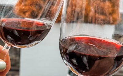 De wereld van Bordeaux | wijngids voor dummies