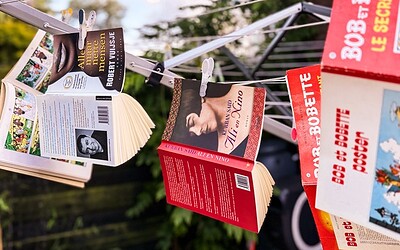 Muffe geur uit oude boeken halen? Hier zijn 5 tips